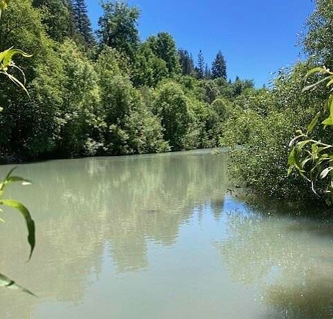 1st image of 1181 Sanicula Rd