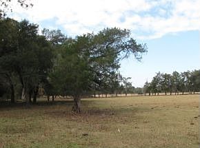 2nd image of 14980 S Highway 475