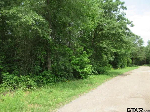 3.54 Ac Cres #352, Palestine, TX 75803