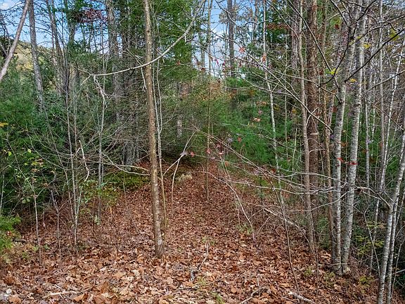 4th image of 4416 Whetstone Rd