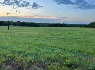 3519 Vz County Road 4503, Ben Wheeler, TX 75754