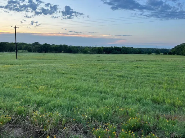 3519 Vz County Road 4503, Ben Wheeler, TX 75754