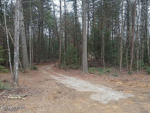 2nd image of 0 Wild Magnolia Lot 37