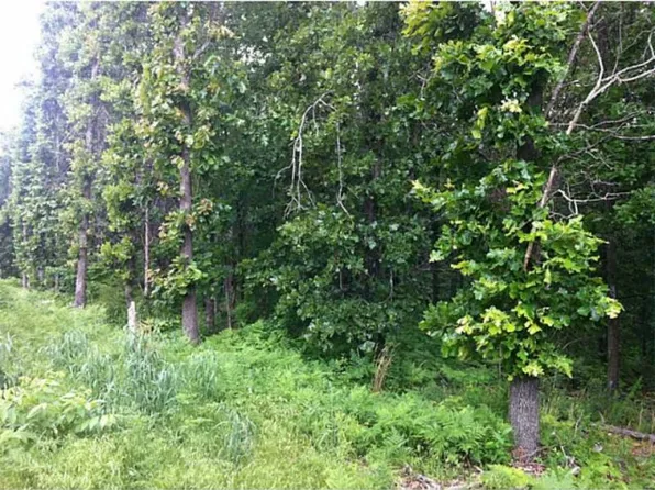 Bolton Ln, Bella Vista, AR 72715