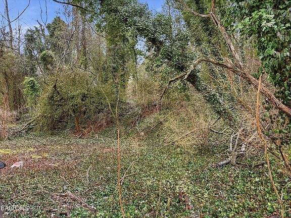 2nd image of 0 Irene Ave