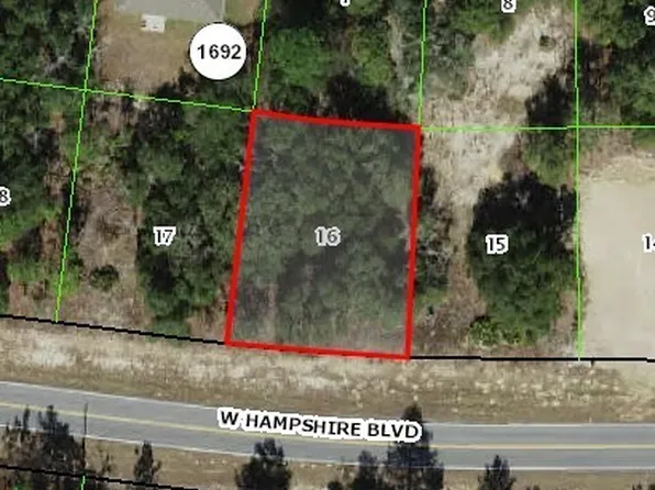 2295 W Hampshire Blvd, Citrus Springs, FL 34434