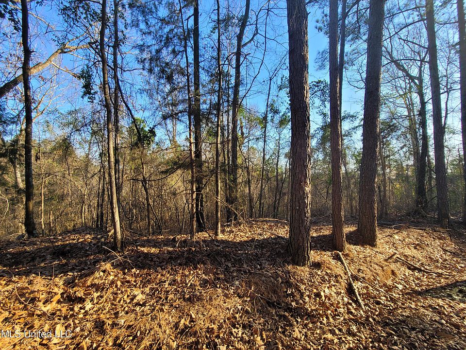 Fortune Trl, Walnut Grove, MS 39189 Zillow