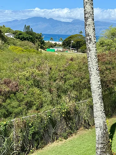 120 Hui Road F #F Photo 1