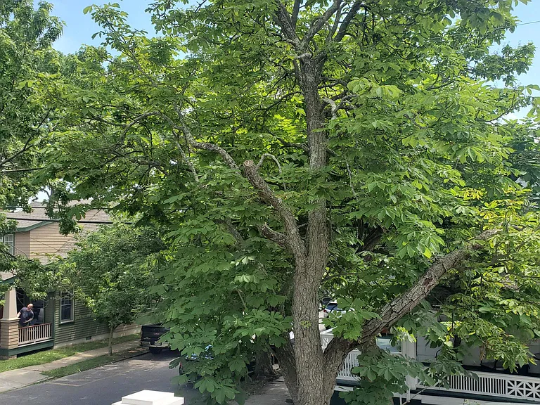 1/2 Mount Tabor Way — Photo 17