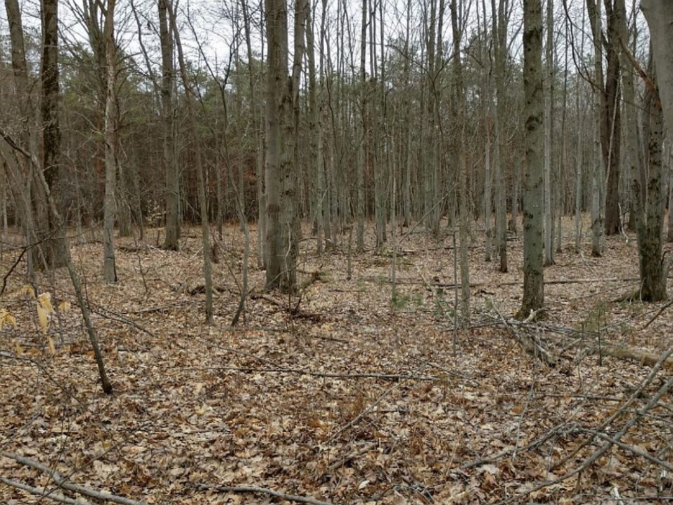 2nd image of S Wisner Ave