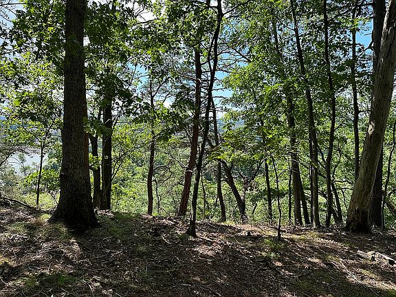 3rd image of Cedar Crest Dr