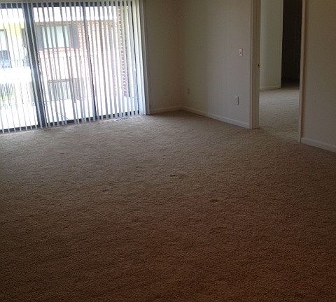 5th image of 147 Brittany Ln