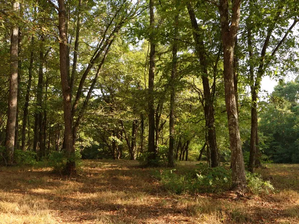 0 Akin Ridge Rd Lot 2, Williamsport, TN 38487