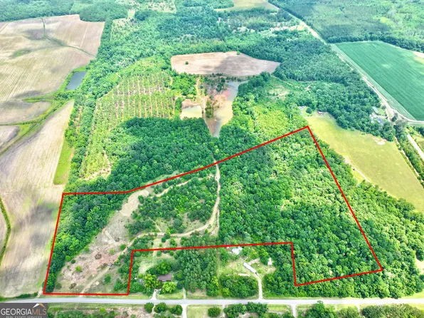 0 Mark Wood Rd, Dexter, GA 31019