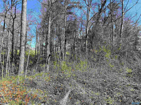 Cardinal Dr Lot 9, Guntersville, AL 35976
