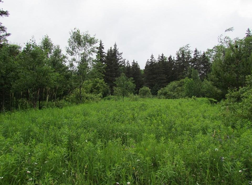 2nd image of 5029 Ward Rd