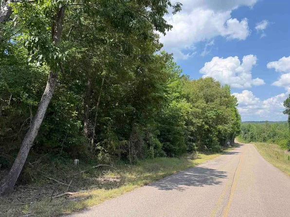 2 Rose Creek Rd, Selmer, TN 38375