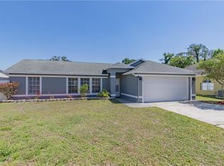 10339 Lecon Branch Ct, Orlando, FL 32825