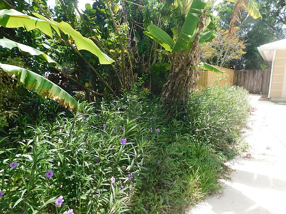 3rd image of 6103 Papaya Drive
