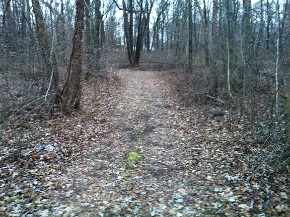 Cleared property