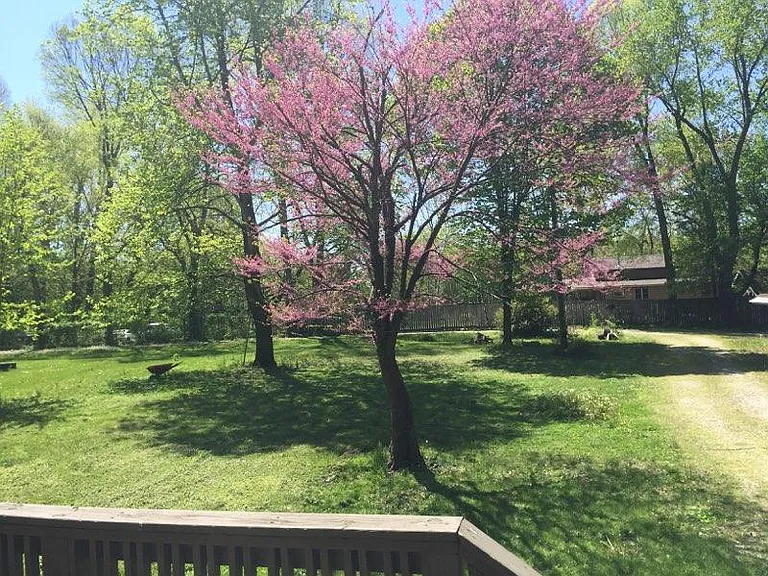 View from Front Deck, Including Driveway