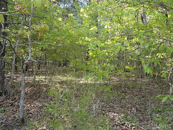 3rd image of 13571 Saddle Creek Rd