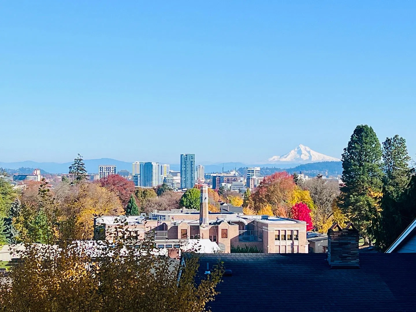 #230-Mountain View Village — Photo 3