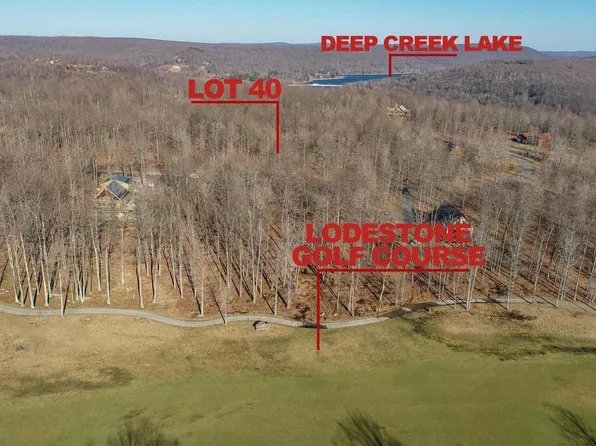 40 Fern Loop Dr, Mc Henry, MD 21541