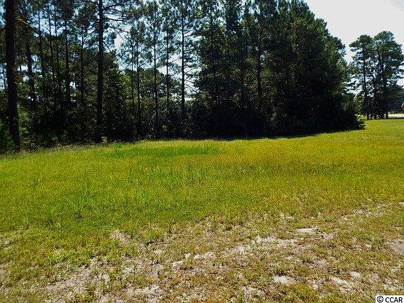 3rd image of 419 Maccoa Dr. Lot 419 Wild Wing Plantation