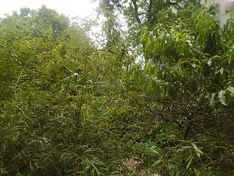 Rented by Prince Real Estate Associates LLC