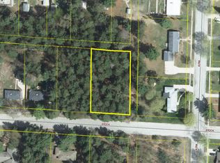 Vl Brook Ave, Kaleva, MI 49645