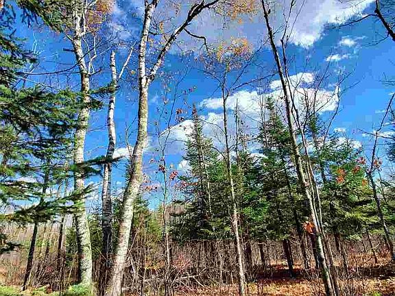 4th image of XXX Wildridge Estates Lot 1 Block 6
