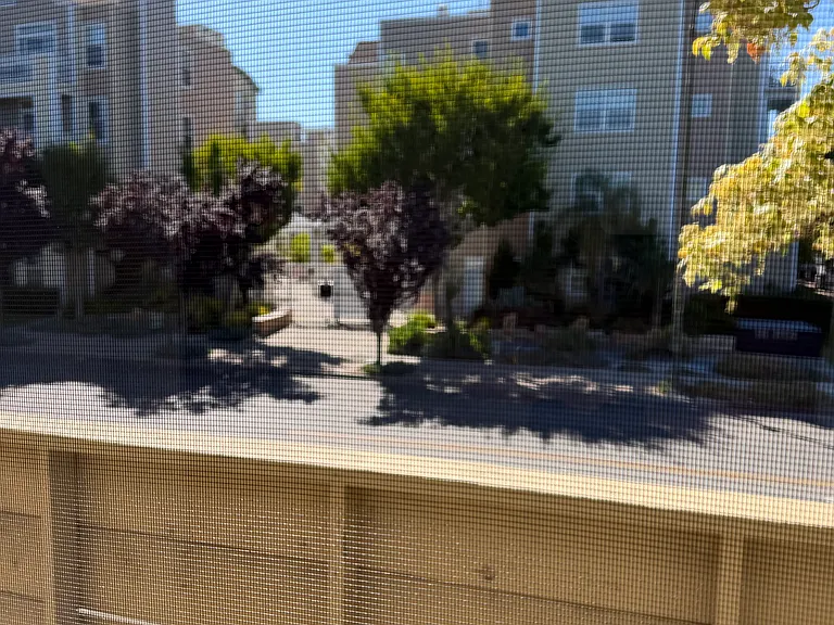 2295 Latham St #8 — Photo 4