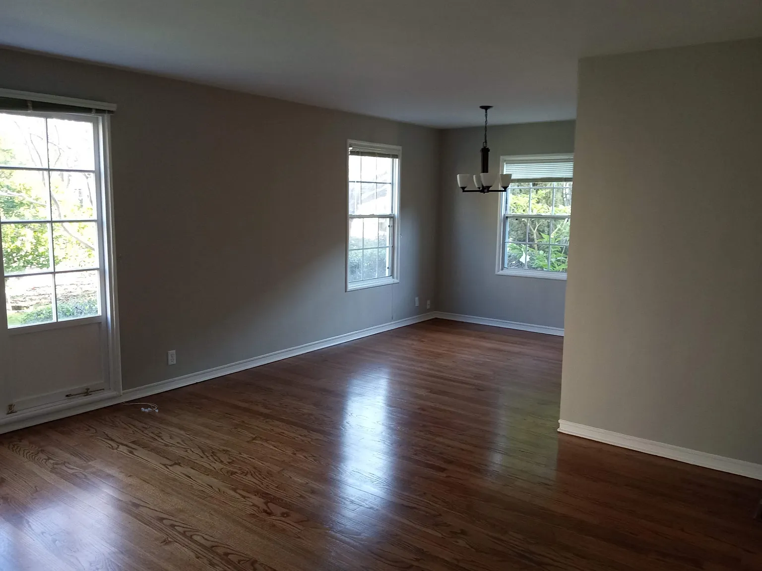 1 bed, 800 sqft, $2,500 — Photo 3