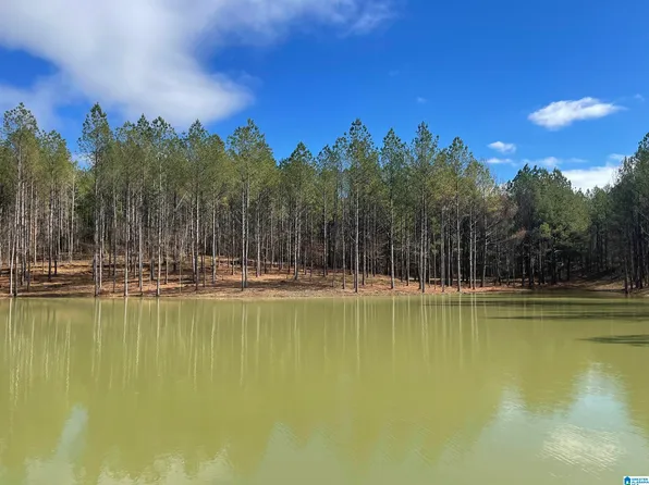 1 Chelsea Rd #3, Columbiana, AL 35051