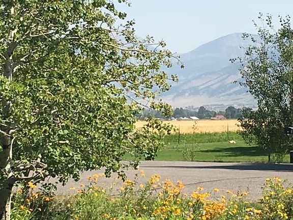 5th image of 441 Mountain Lion Trl