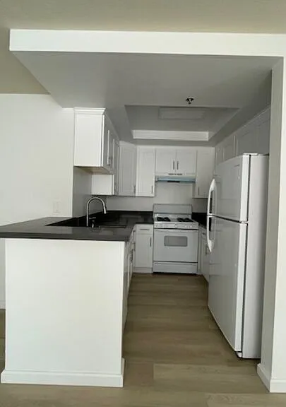 420 S Harvard Blvd #305 — Photo 5