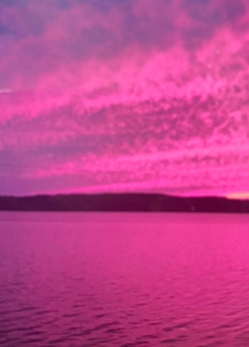 10470 Riverton Rose Trl, Cherokee, AL 35616 Zillow