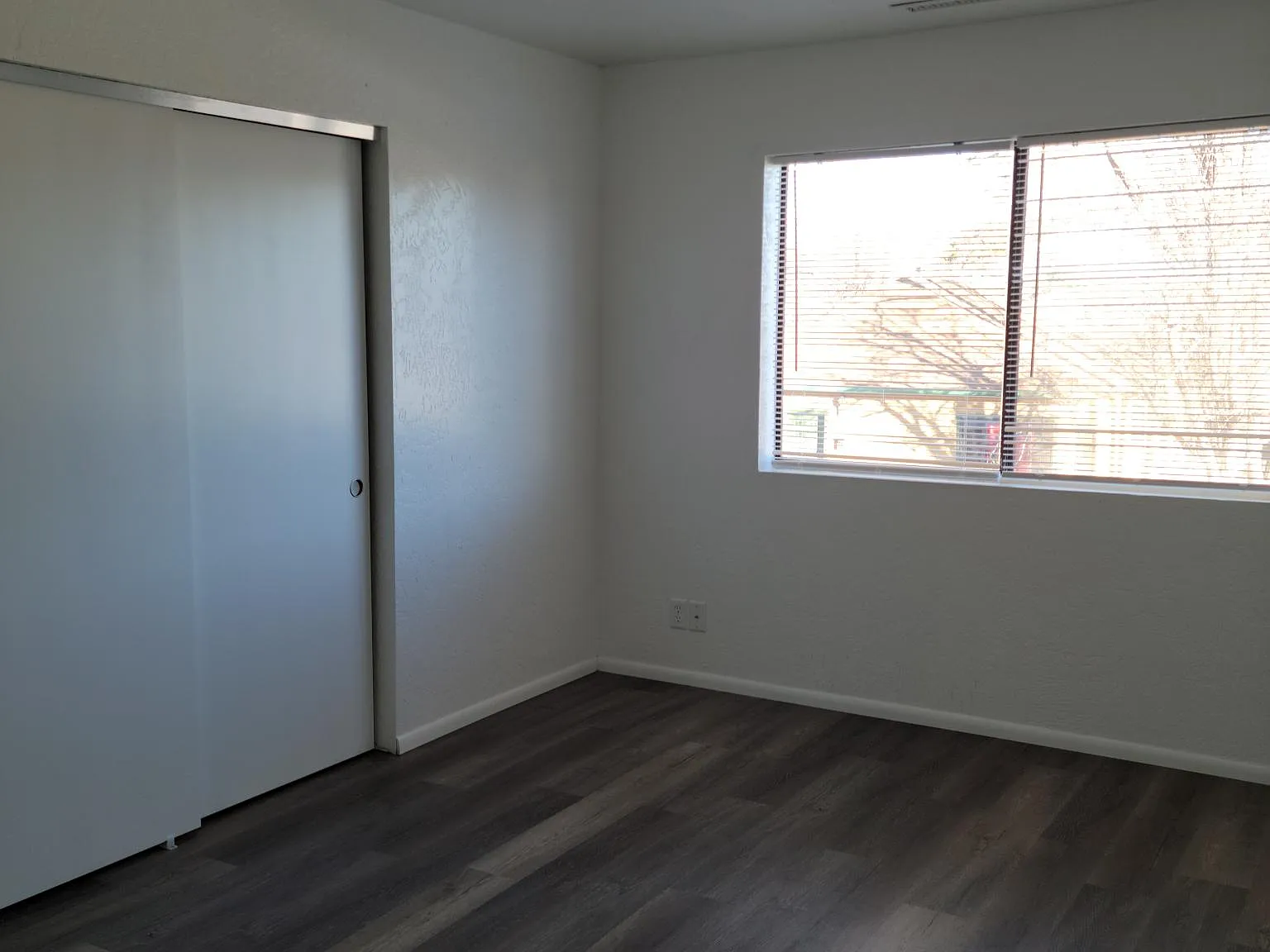 1 bed, 250 sqft, $800 — Photo 4