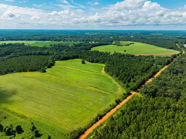 266/AC Loven Mill Rd, Richland, GA 31825