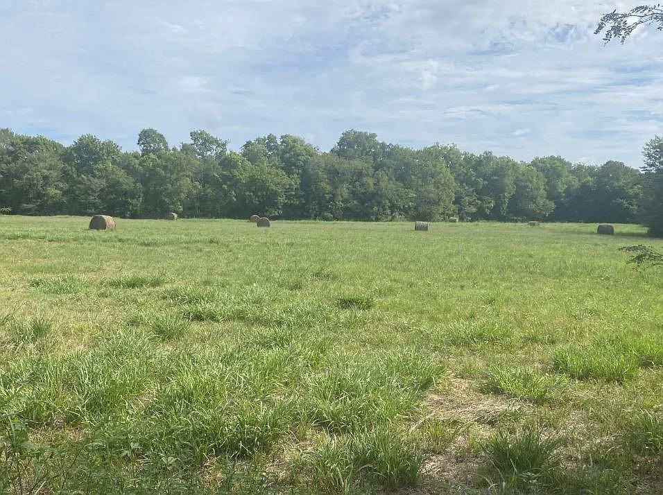2nd image of 529 County Road 16060