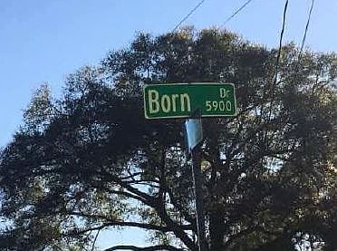 4th image of 6003 Born Ct