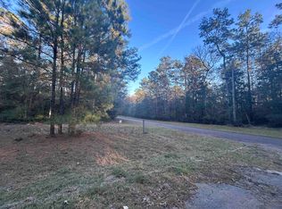 Chestnut Dr, Village Mills, TX 77663