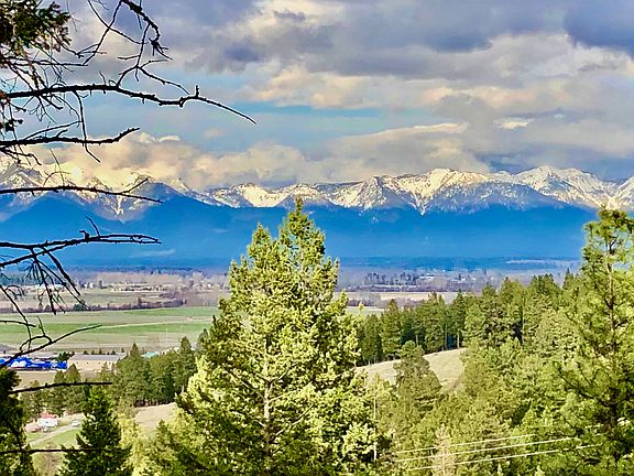 view from back porch