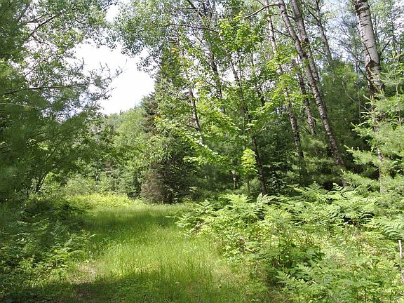 2nd image of On Breezy Pine Rd