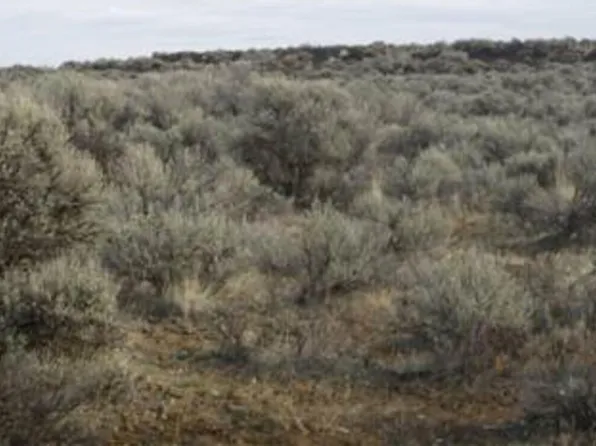 0 Lot 48 Settler Lane, Ephrata, WA 98823