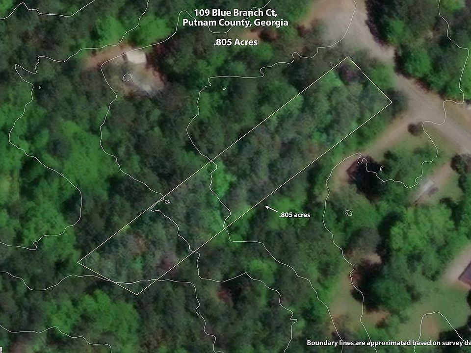 2nd image of 109 Blue Branch Ct #99