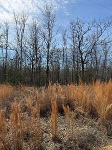 39 Megan Ln LOT 9, Conway, AR, 72032
