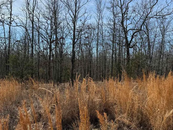 43 Megan Ln Lot 10, Conway, AR 72032