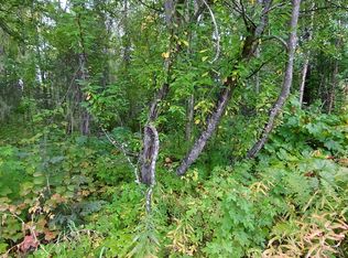 14972 E Powers Rd, Talkeetna, AK 99676